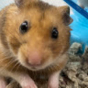 Meet your Posher, Aidan